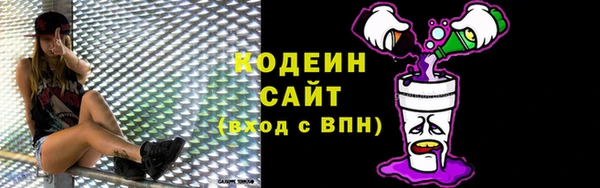 дмт Каменка