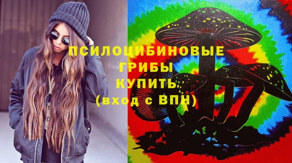 молекула духа Карпинск
