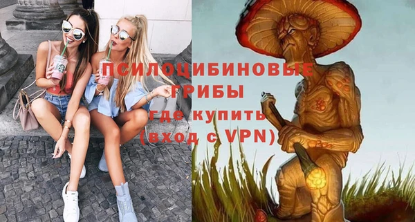 молекула духа Карпинск