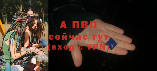 молекула духа Карпинск