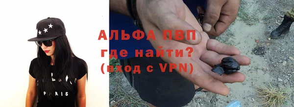 ПСИЛОЦИБИНОВЫЕ ГРИБЫ Карталы