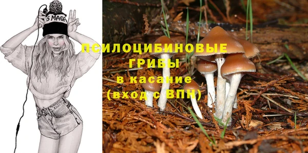 молекула духа Карпинск