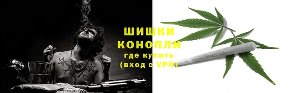 ПСИЛОЦИБИНОВЫЕ ГРИБЫ Карталы