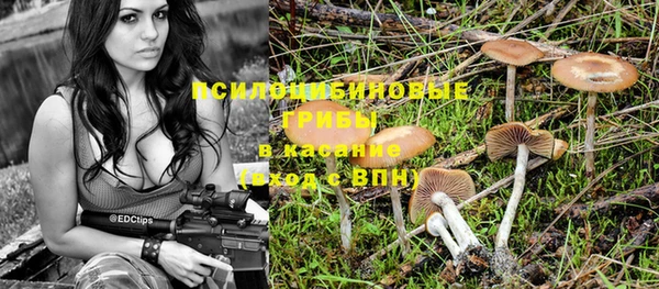ПСИЛОЦИБИНОВЫЕ ГРИБЫ Карталы