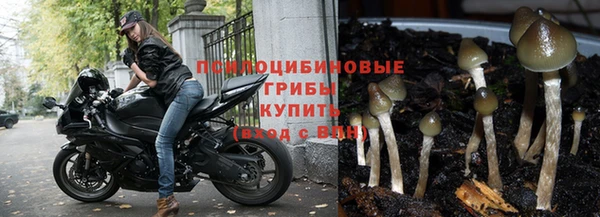 ПСИЛОЦИБИНОВЫЕ ГРИБЫ Карталы