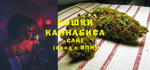 ПСИЛОЦИБИНОВЫЕ ГРИБЫ Карталы