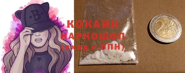 молекула духа Карпинск