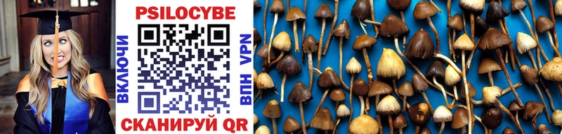 где найти   Тольятти  mega зеркало  Галлюциногенные грибы MAGIC MUSHROOMS 